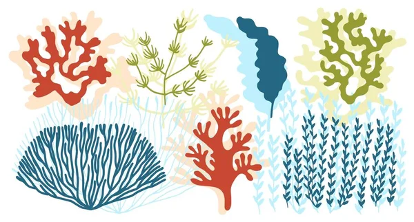 Algae Corals Colored Set Vector — Stock Vector