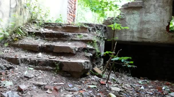 Lugar Abandonado Escadaria Quebrada Coberta Plantas — Vídeo de Stock