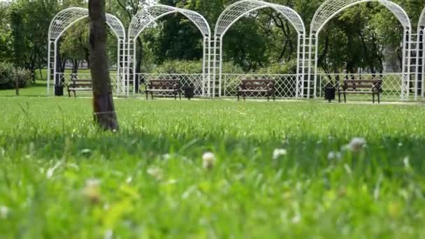 Bancs Pour Les Amoureux Sous Les Verrières Blanches Dans Parc — Video