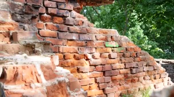 Viejo Ladrillo Rojo Ruinas Pared — Vídeo de stock