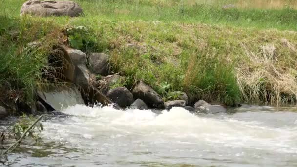 パイプから川への生産フローの汚れた下水黄色の水 — ストック動画