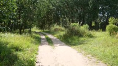 Yeşil ağaçların ve çalıların arasındaki parkta kumlu bir yol.