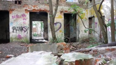 Yıkılmış tuğla bir binada oda. İçinde ağaçlar olan terk edilmiş bir ev.