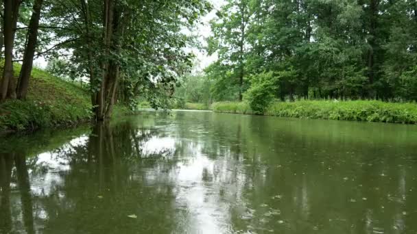 Meer Het Bos Ondiepe Regen Open Lucht — Stockvideo