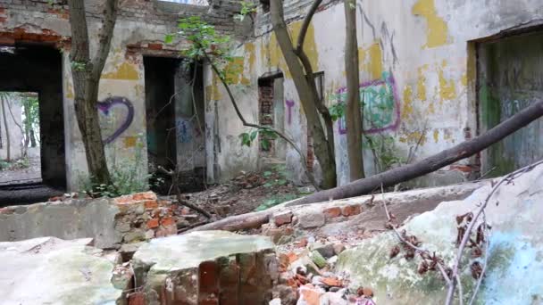 Abandoned Ruined Building Brick Which Trees Grow Painted Walls — Stock Video