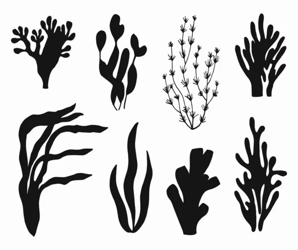 Seaweed Edible Seafood Corals Ocean Vector Underwater Flora Elements — Stockový vektor