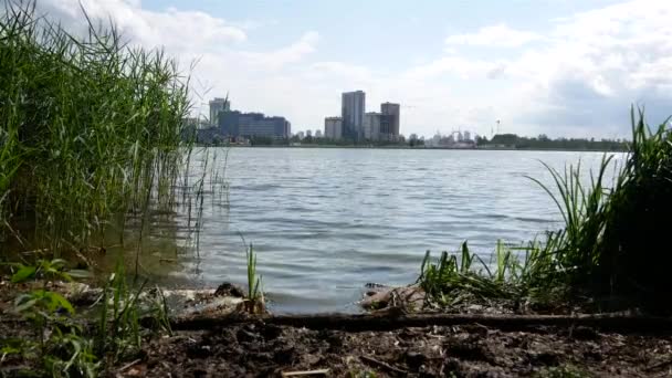 Vista Panorama Cidade Partir Das Moitas Cana Edifícios Junto Lago — Vídeo de Stock