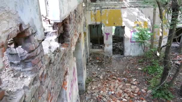 Vista Desde Segundo Piso Edificio Ladrillo Abandonado Los Árboles Crecen — Vídeo de stock