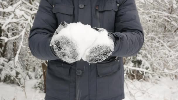 Homem Luvas Pretas Pegou Neve Suas Mãos Flocos Neve Estão — Vídeo de Stock