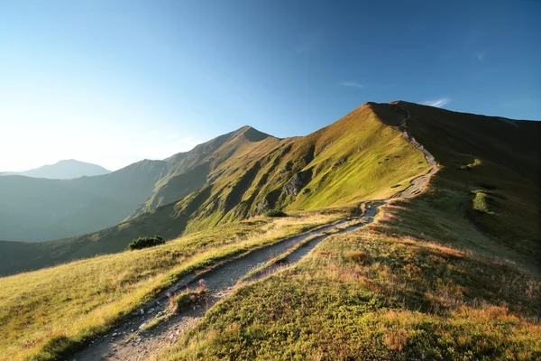 Karpaten bij zonsopgang — Stockfoto