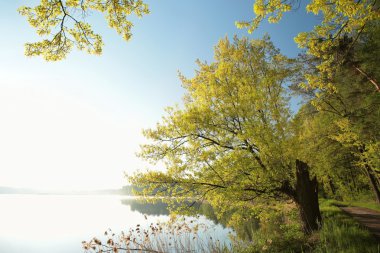 Şafakta bahar manzarası