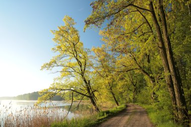 Şafakta bahar manzarası