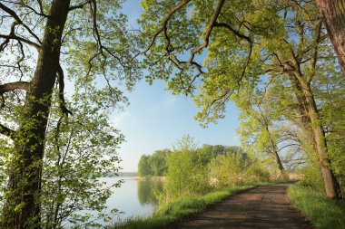 Şafakta bahar manzarası