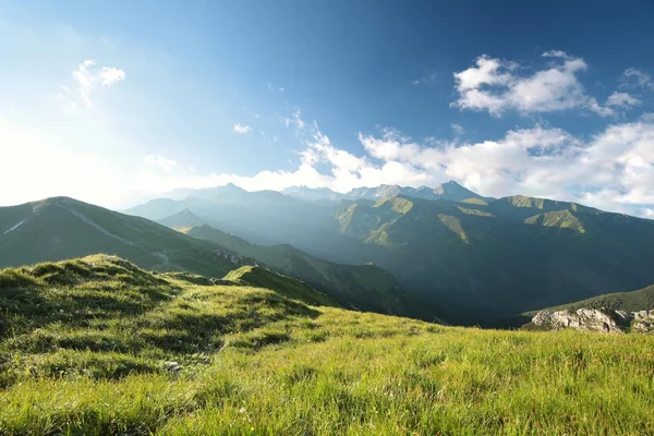 Панорама Карпатских гор — стоковое фото