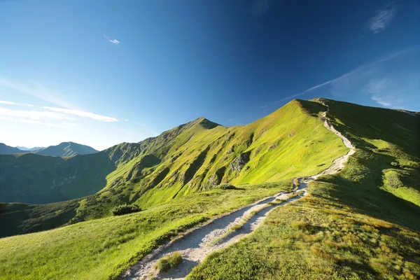 Trail till toppen i Karpaterna — Stockfoto
