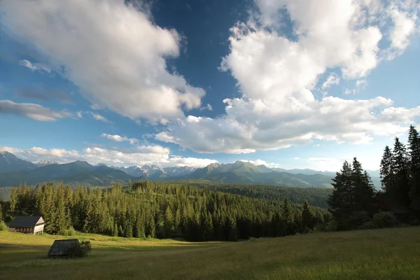 Carpathian mountains at dusk — Stock Photo, Image