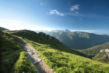 Şafak vakti Karpat Dağları