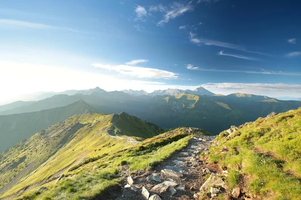 Karpaten tijdens zonsopgang — Stockfoto