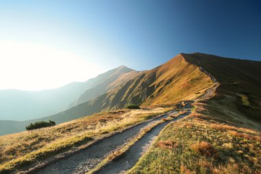 Şafak vakti Karpat Dağları