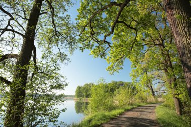 Şafakta bahar manzarası