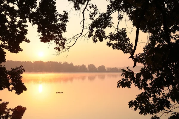 Salida del sol sobre el lago — Foto de Stock