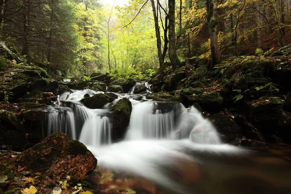 Arroyo Forestal Que Desciende Las Montañas — Foto de Stock