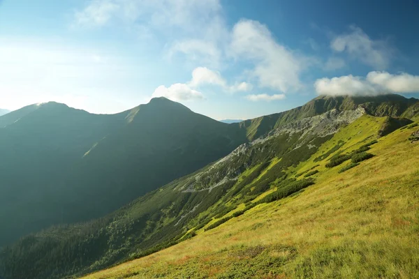 Karpaten tijdens zonsopgang — Stockfoto