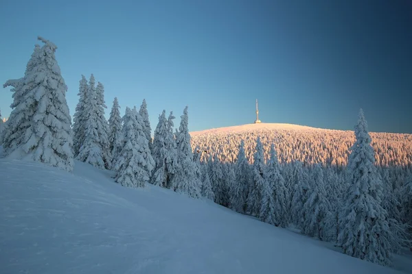 黎明时分的冬季风景 — 图库照片