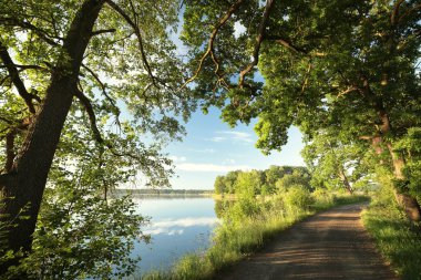 Bahar sabah gölün kıyısında