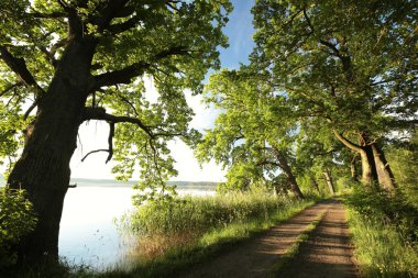 Göl kıyısında köy yolunda