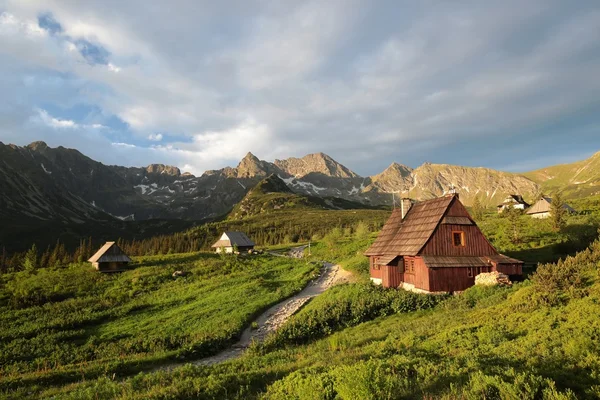 Vallei in het Karpaten gebergte — Stockfoto