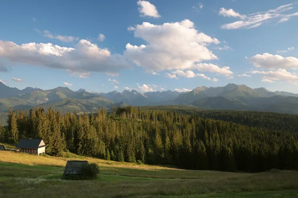 Pittoresche montagne dei Carpazi al tramonto — Foto Stock