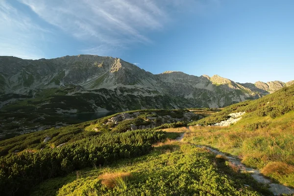 Vallei in het Karpaten gebergte — Stockfoto