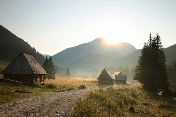 Valle de los Cárpatos al amanecer — Foto de Stock