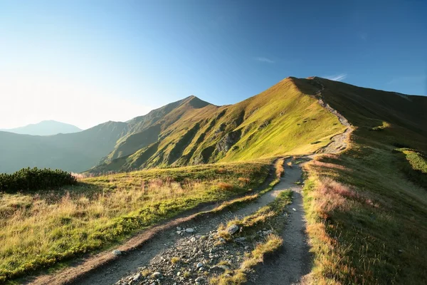 Güneş doğarken Karpat Dağları — Stok fotoğraf
