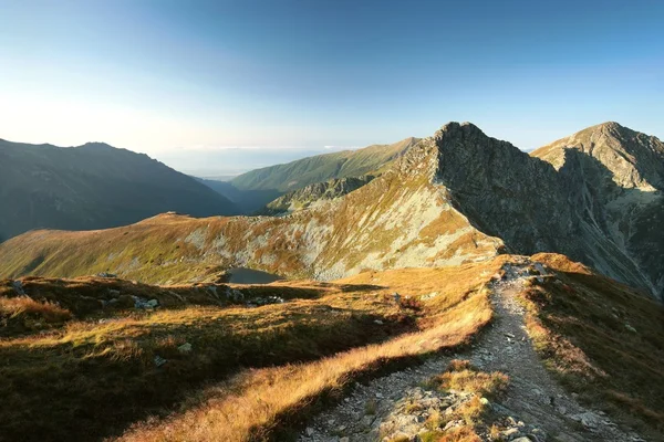 Montanhas Cárpatas ao amanhecer — Fotografia de Stock