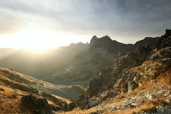 Karpatské hory při východu slunce — Stock fotografie
