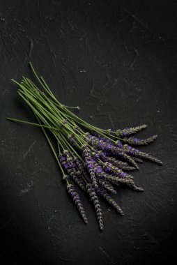 lavender flower over black stone