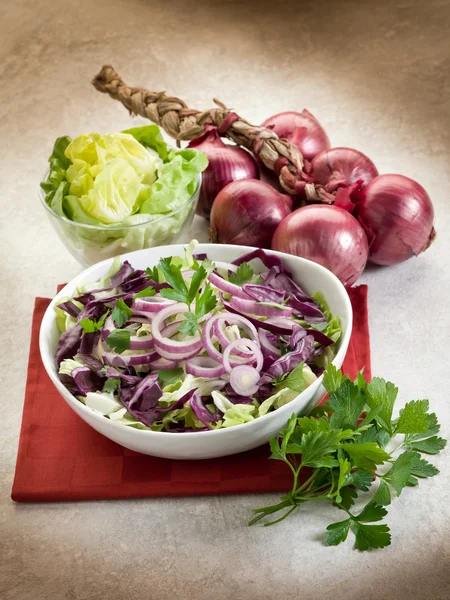 Салат с салатом из красной капусты и луком — стоковое фото