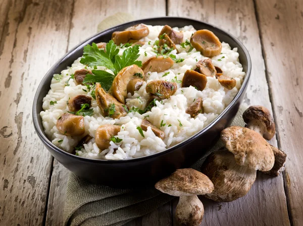 Risotto met eekhoorntjesbrood eetbare paddestoelen — Stockfoto