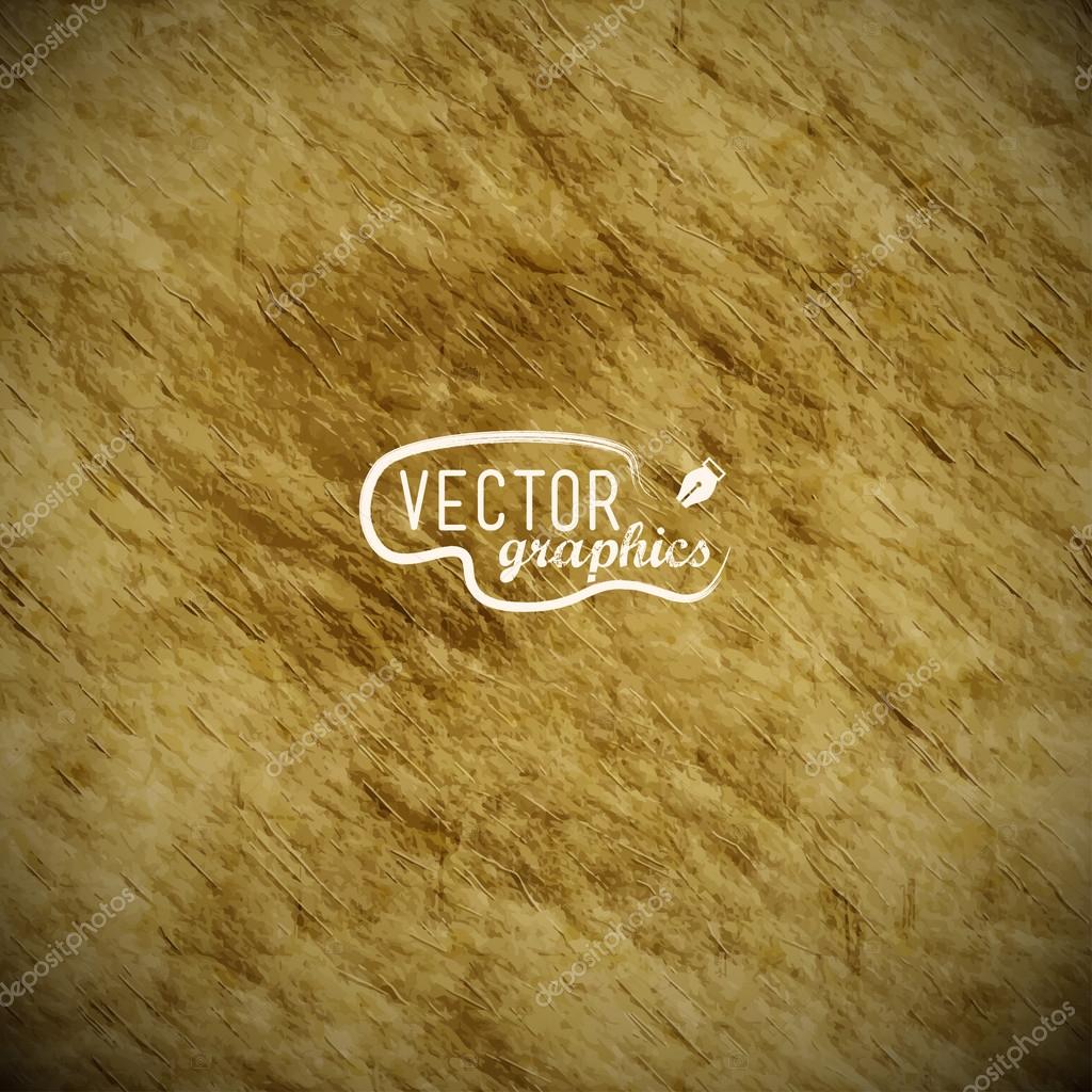 Vector paper texture Stock Vector by ©caesart 79074578
