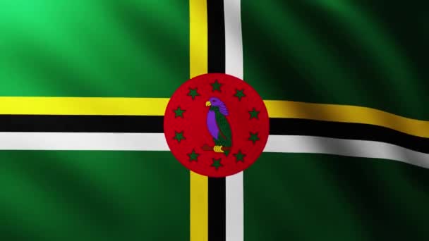 Velká Vlajka Dominika Celé Obrazovce Pozadí Třepetání Větru — Stock video