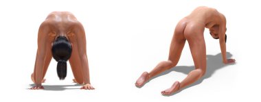 Üç çeyrek geri ve Yogadaki Seksi Çıplak Kadın Pozları Beyaz bir arka planı olan Kedi Poz