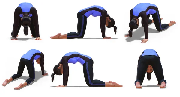 Woman Sport Outfit Yoga Cat Pose Γωνίες Θέασης Λευκό Φόντο — Φωτογραφία Αρχείου