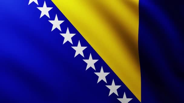 Stor Flagga Bosnien Och Hercegovinas Fullskärm Bakgrund Fladdrar Vinden Med — Stockvideo