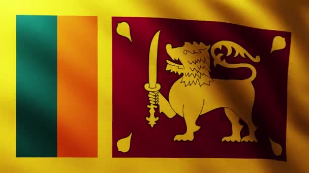 Large Flag Sri Lanka Fullscreen Background Fluttering Wind Wave Patterns — Stock Video