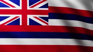 Hawaii Adası 'nın büyük bayrağı dalga desenleriyle rüzgarda dalgalanan tam ekran arka plan
