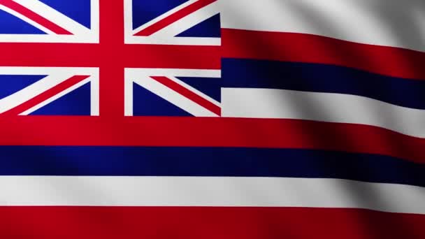 Large Flag Hawai Island Fullscreen Background Fluttering Wind Wave Patterns — Stock Video