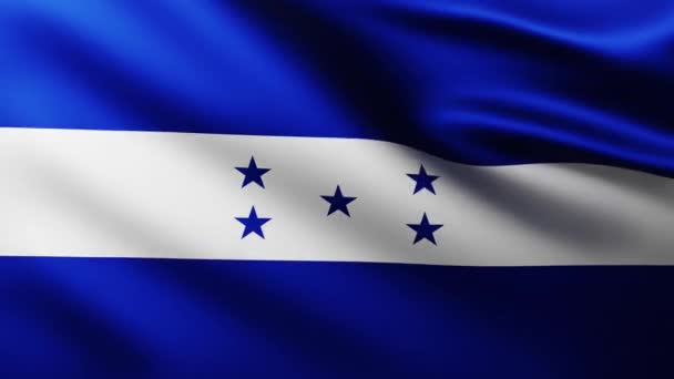 Large Flag Honduras Republic Fullscreen Background Fluttering Wind Wave Patterns — Stock Video