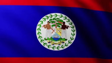 Belize Adası 'nın büyük bayrağı dalga desenleriyle rüzgarda dalgalanan tam ekran arka plan